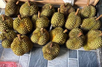 Sầu riêng Thái rụng