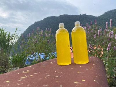 MẬT ONG HOA BẠC HÀ nay chỉ còn 250k/1lit. Mua bán Đồ ăn, thực phẩm và các loại khác tại Quận Gò Vấp Tp Hồ Chí Minh được đăng bởi SagonutNG