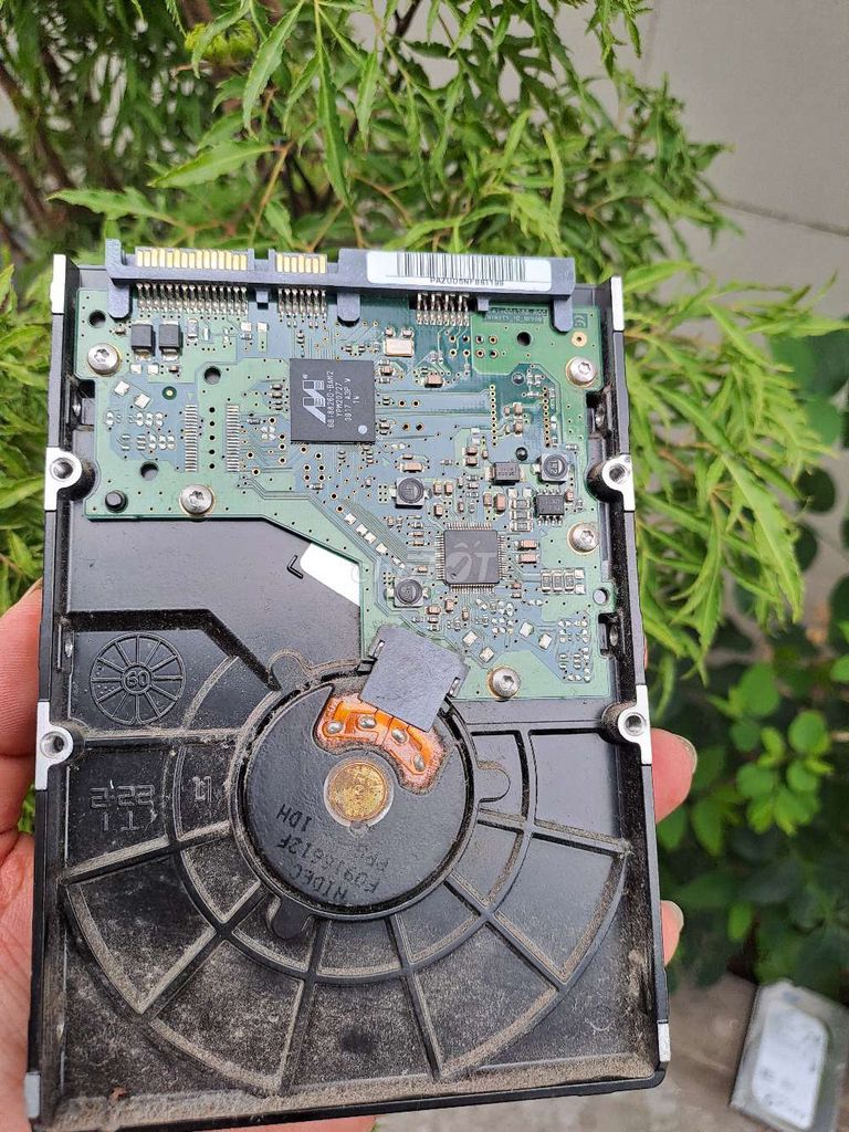 Ổ cứng Samsung HD322HJ 320GB 7200RPM SATA. Mua bán Linh kiện (RAM, Card...) tại Thành phố Long Xuyên An Giang được đăng bởi Kanmon B hình 1