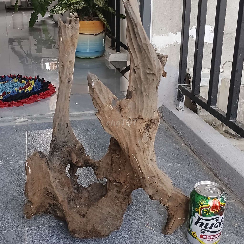 Bệ gỗ lũa trang trí gỗ tự nhiên 45cm. Mua bán Cây cảnh, đồ trang trí tại Thành phố Huế Thừa Thiên Huế được đăng bởi Tý Nguyễn hình 1