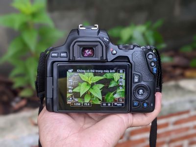 (MÁY ẢNH KTS)Canon 200D II 2 lens 18-55 + 50 STM. Mua bán Máy ảnh, Máy quay tại Quận 6 Tp Hồ Chí Minh được đăng bởi may anh KTS