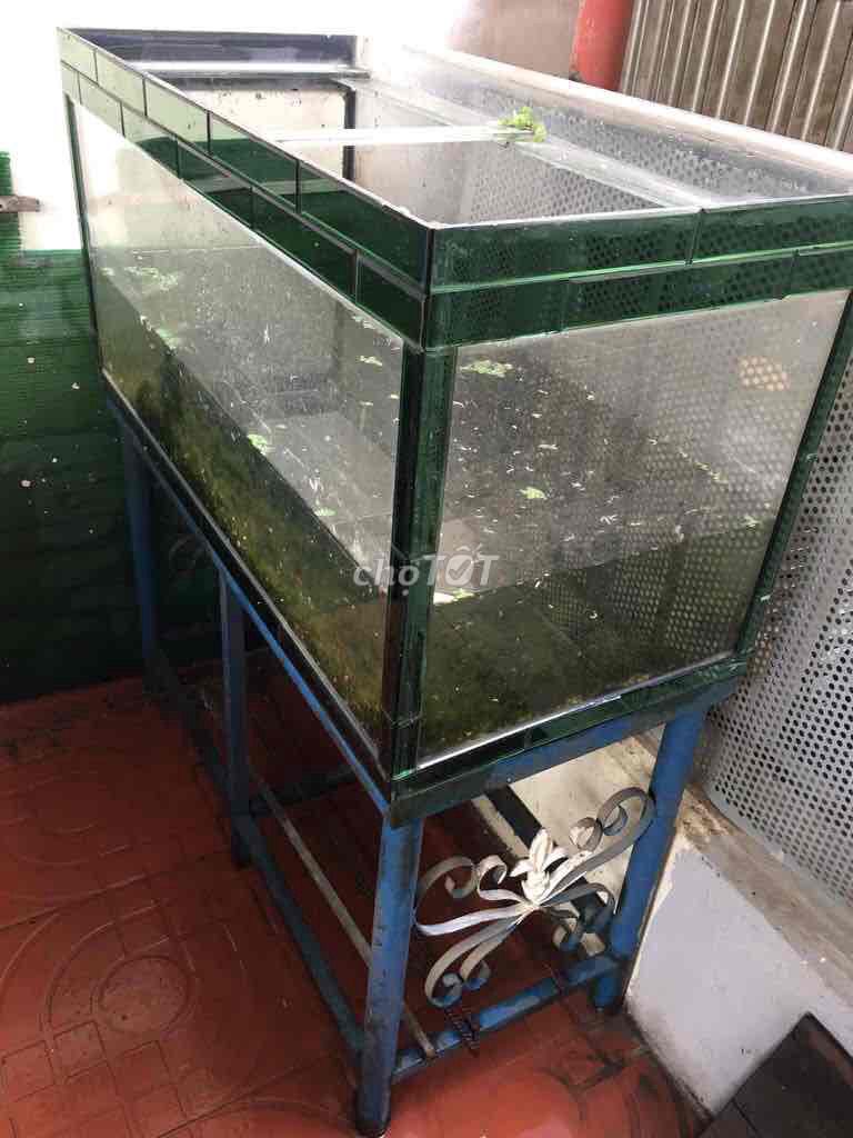 Bể cá co chan sat. Mua bán Phụ kiện, Thức ăn, Dịch vụ tại Thành phố Thủ Đức Tp Hồ Chí Minh được đăng bởi   Bi hình 1