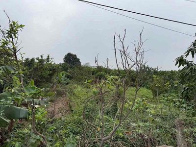 Bán đất nông nghiệp Giáp Hải, Gia Lâm, Hà Nội. Mua bán đất tại Huyện Gia Lâm Hà Nội được đăng bởi Bui Tuan