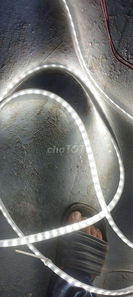 Đèn LED dây Rạng Đông vàng 30m. Mua bán Đèn tại Quận 1 Tp Hồ Chí Minh được đăng bởi Chien thuat hình 1