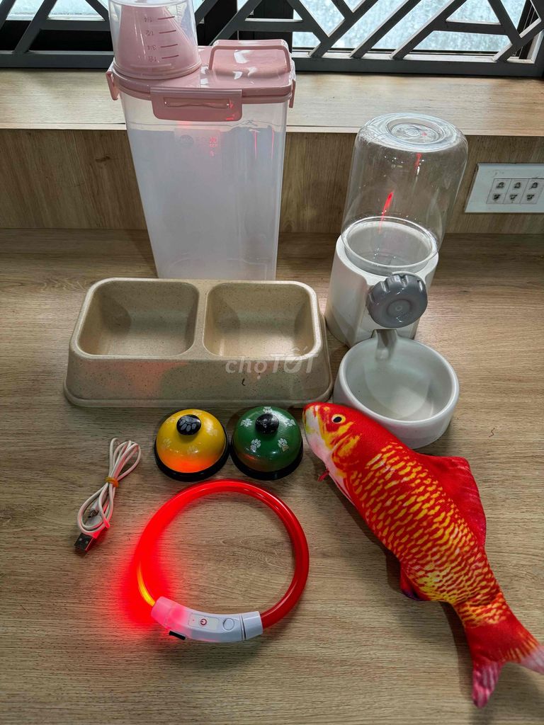 cả set cho thú cưng đặc biệt đèn led sạc dc. Mua bán Phụ kiện, Thức ăn, Dịch vụ tại Thành phố Thủ Dầu Một Bình Dương được đăng bởi Tịnh Nghi hình 1