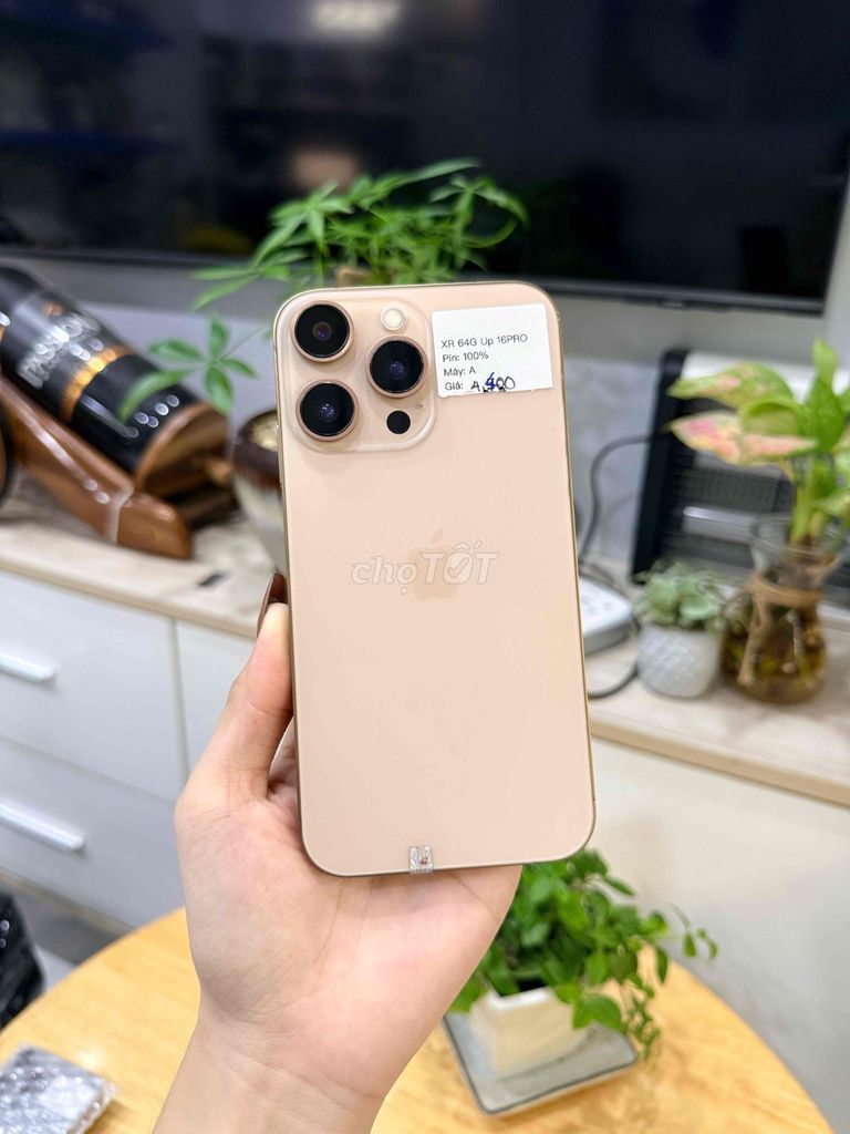 iPhone XR 64GB độ vỏ 16 Pro Sa mạc siêu hot. Mua bán Điện thoại tại Huyện Hóc Môn Tp Hồ Chí Minh được đăng bởi Luân Hoài hình 1