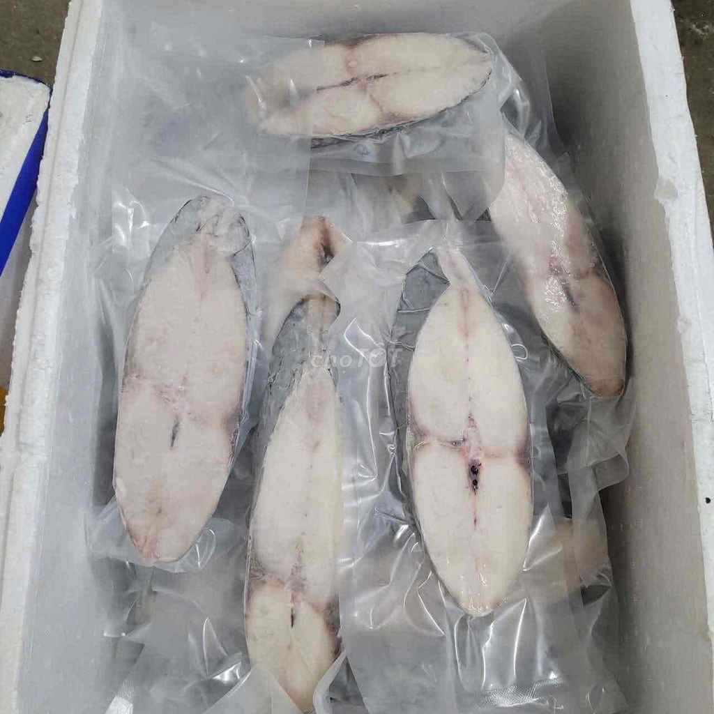Cá thu cắt lát đóng gói chân không. Mua bán Đồ ăn, thực phẩm và các loại khác tại Huyện Thuỷ Nguyên Hải Phòng được đăng bởi Hs Biển hình 1