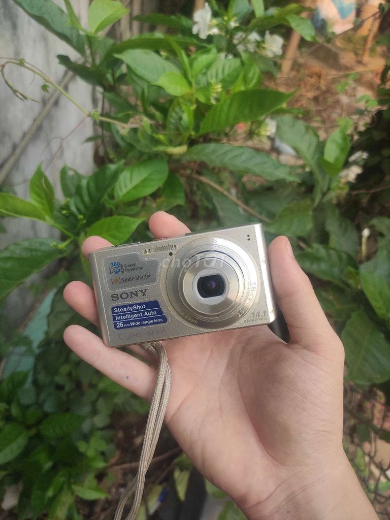 Máy ảnh Sony Cyber-shot W610. Mua bán Máy ảnh, Máy quay tại Huyện Châu Thành An Giang được đăng bởi Nguyễn Thanh Trọng hình 1