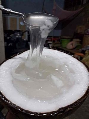 dừa sáp đặc sản trà vinh. Mua bán Đồ ăn, thực phẩm và các loại khác tại Thành phố Trà Vinh Trà Vinh được đăng bởi Bé Chuột
