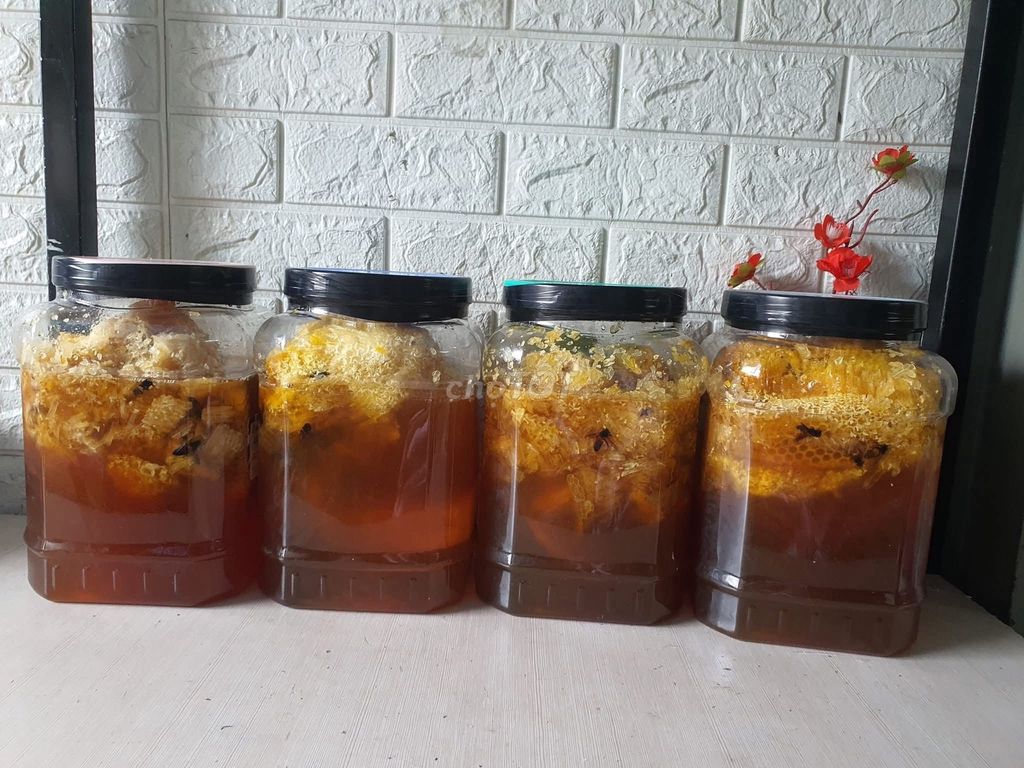 MẬT ONG TREO RỪNG nguyên chất, Tự Vắt Trải Nghiệm. Mua bán Đồ ăn, thực phẩm và các loại khác tại Quận Bình Tân Tp Hồ Chí Minh được đăng bởi Chang Chang hình 1