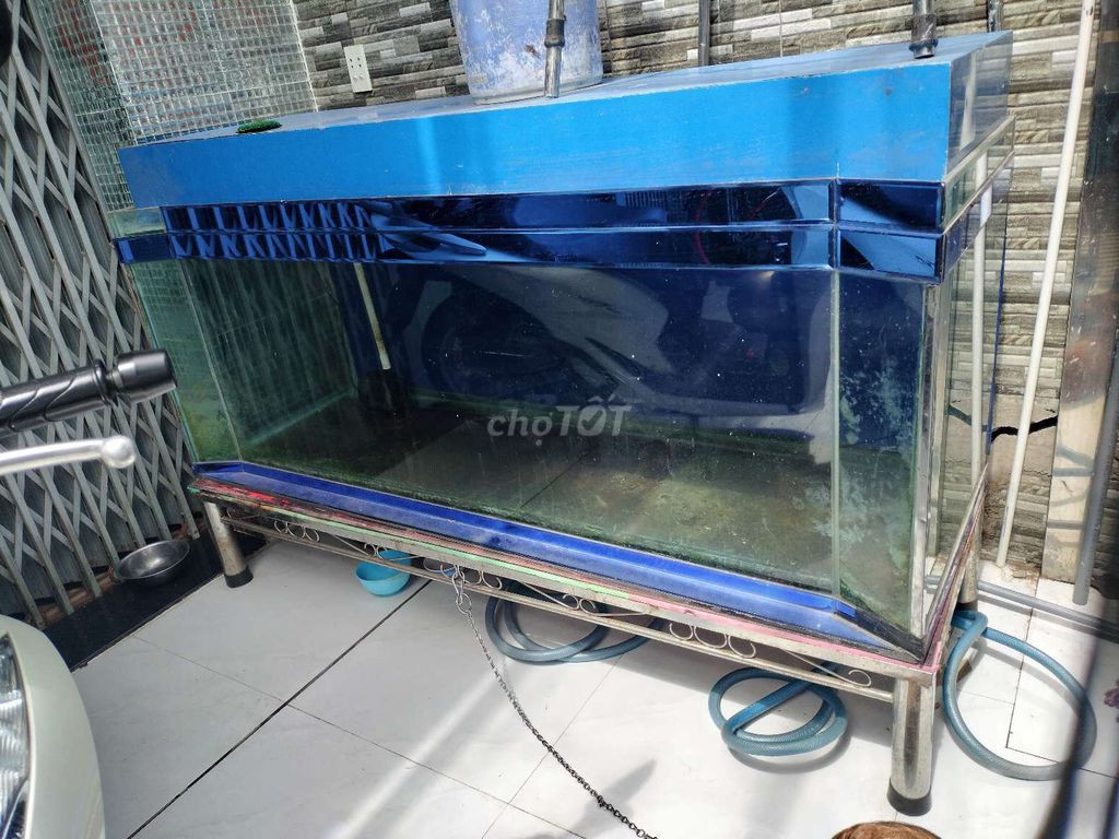 Hồ cá kính 180x60x100cm 10 ly. Mua bán Phụ kiện, Thức ăn, Dịch vụ tại Huyện Bình Chánh Tp Hồ Chí Minh được đăng bởi Tâm Nguyễn hình 1