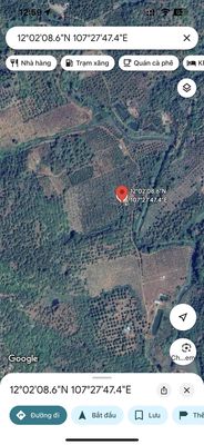 Bán Đất Rẫy 5,4ha Quảng Tân Tuy Đức Daknong chỉ 6ty2. Mua bán đất tại Huyện Tuy Đức Đắk Nông được đăng bởi Thien