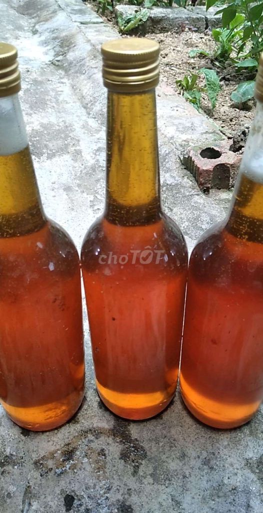 Mật ong nguyên chất tự nhiên Vàng nâu. Mua bán Đồ ăn, thực phẩm và các loại khác tại Thành phố Bảo Lộc Lâm Đồng được đăng bởi Mi Mi hình 1