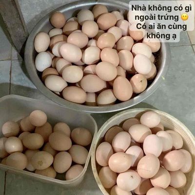 Trứng gà ta. Mua bán Đồ ăn, thực phẩm và các loại khác tại Quận Cầu Giấy Hà Nội được đăng bởi Hương