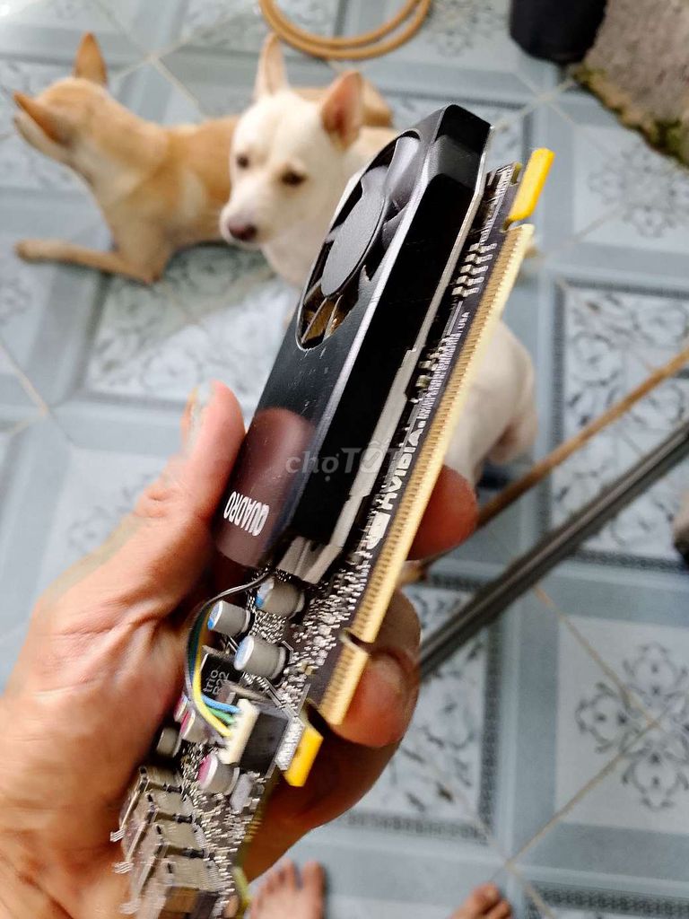 Card đồ họa NVIDIA Quadro P600 2GB Đen. Mua bán Linh kiện (RAM, Card...) tại Thành phố Mỹ Tho Tiền Giang được đăng bởi Vũ hình 1