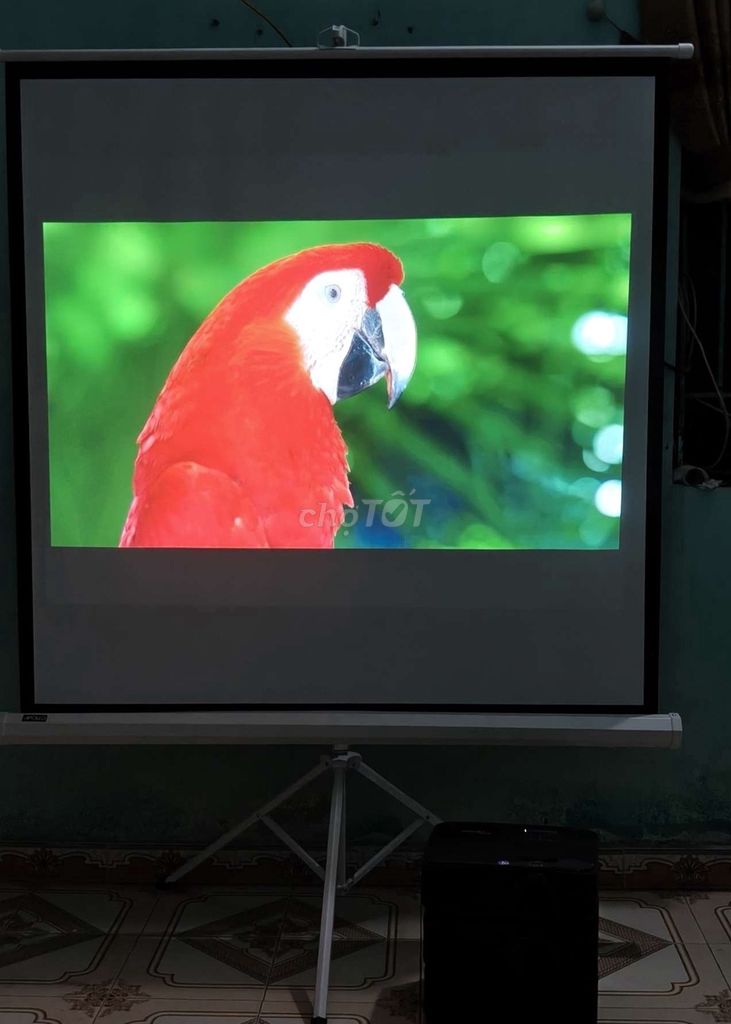 Máy chiếu Optoma PX4019 Đen. Độ sáng Cao . Mua bán Đồ dùng văn phòng tại Huyện Thuỷ Nguyên Hải Phòng được đăng bởi Quang Hải hình 1