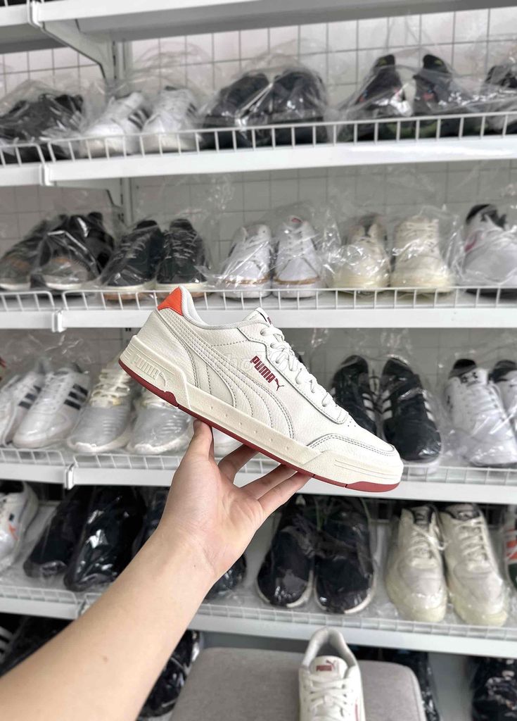 Giày thể thao Puma Caracal Trắng Đỏ size 41. Mua bán Giày dép tại Huyện Yên Mỹ Hưng Yên được đăng bởi Tiệm Giày Cũ 89 hình 1