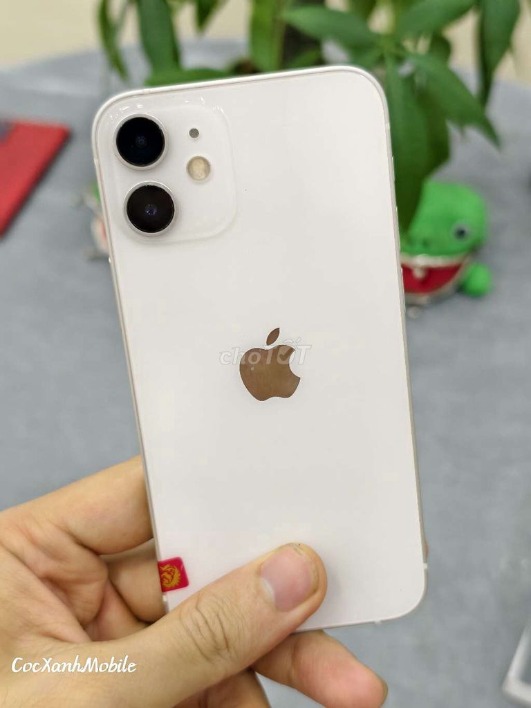 iPhone 12 Mini Quốc Tế Nhật, Zin Chất. Mua bán Điện thoại tại Quận Liên Chiểu Đà Nẵng được đăng bởi Minh Hiệp CócXanhMobile hình 1