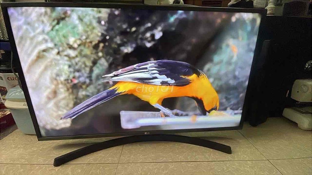 Tivi LG Smart Wifi 40 inch loa to. Mua bán Tivi, Âm thanh tại Huyện Thanh Trì Hà Nội được đăng bởi Thắng hình 1
