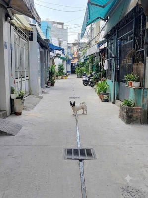 Nhà đẹp Tân Phú - Ô tô ngủ trong nhà - Ngay Chợ Tân Hương