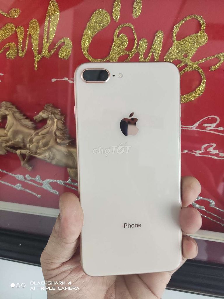 Apple iPhone 8 Plus 64GB Vàng hồng. Mua bán Điện thoại tại Thành phố Biên Hòa Đồng Nai được đăng bởi Tùng phát  hình 1