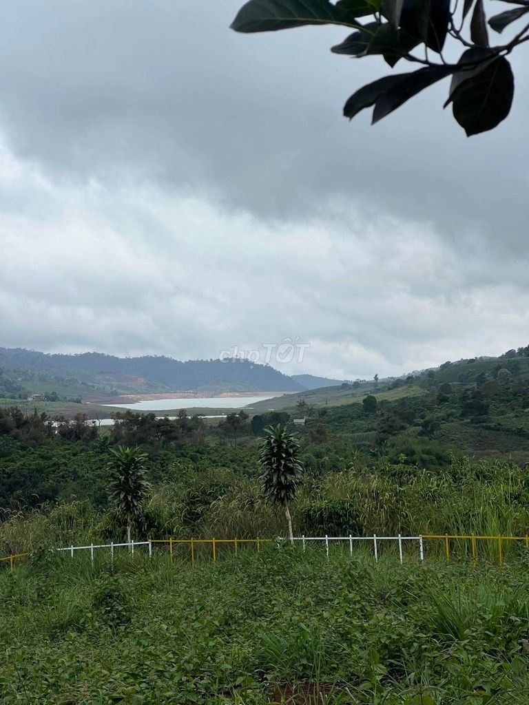 Chính chủ bán đất 2MT quy hoạch thổ cư, view hồ ngọc. Mua bán đất tại Huyện Bảo Lâm Lâm Đồng được đăng bởi Ngọc Lâm hình 3