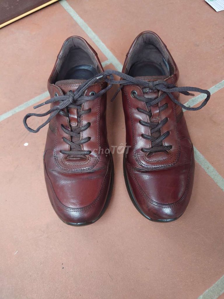 Giày thể thao Ecco chính hãng sZ 42. Mua bán Giày dép tại Quận Hà Đông Hà Nội được đăng bởi Đức Thịnh 389  hình 1