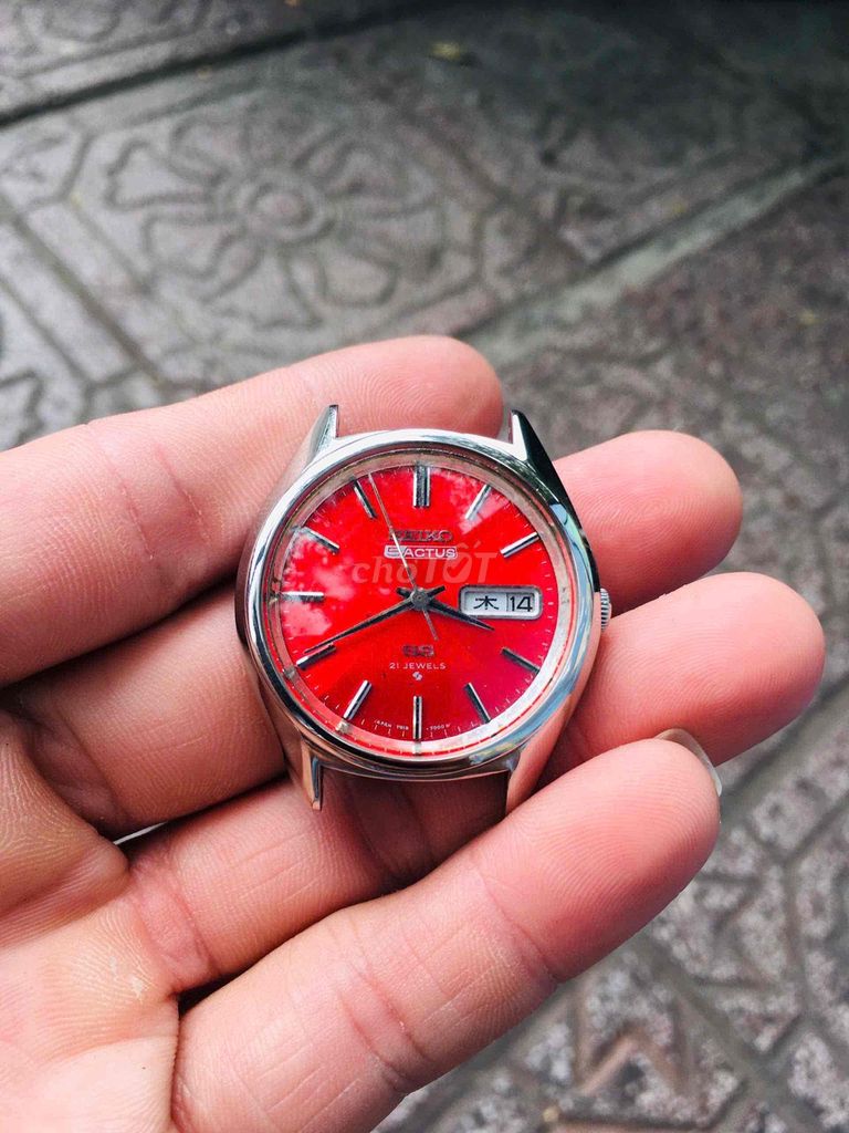 seiko sactus