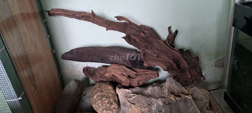 Đồ trang trí Gỗ lũa tự nhiên. Mua bán Cây cảnh, đồ trang trí tại Quận Liên Chiểu Đà Nẵng được đăng bởi Cuong hình 1