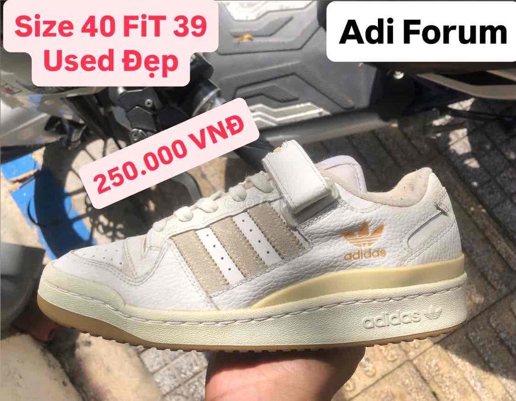 Adidas Forum-Size 40 Fit 39-Chính Hãng. Mua bán Giày dép tại Thành phố Vũng Tàu Bà Rịa - Vũng Tàu được đăng bởi Minh Minh Sneaker hình 1