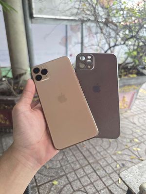 iPhone 11 Pro Max Vàng Gold 256GB. Mua bán Điện thoại tại Thành phố Tây Ninh Tây Ninh được đăng bởi Diệt Thuốc TN