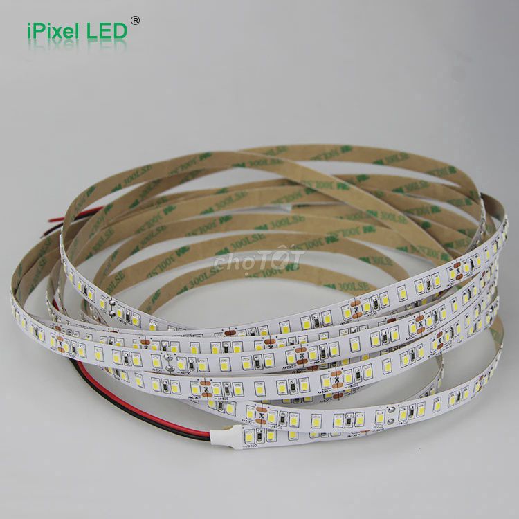 Đèn LED dây 2835 5m Trắng. Mua bán Đèn tại Thành phố Thủ Đức Tp Hồ Chí Minh được đăng bởi bích led QLC hình 1