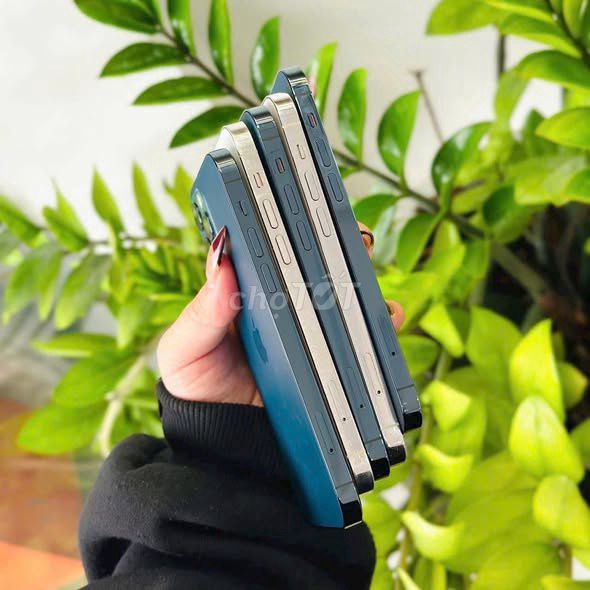 Apple iPhone 12 Pro Max Xanh Bạc. Mua bán Điện thoại tại Quận 1 Tp Hồ Chí Minh được đăng bởi Hội Đồ Điện Tử hình 1