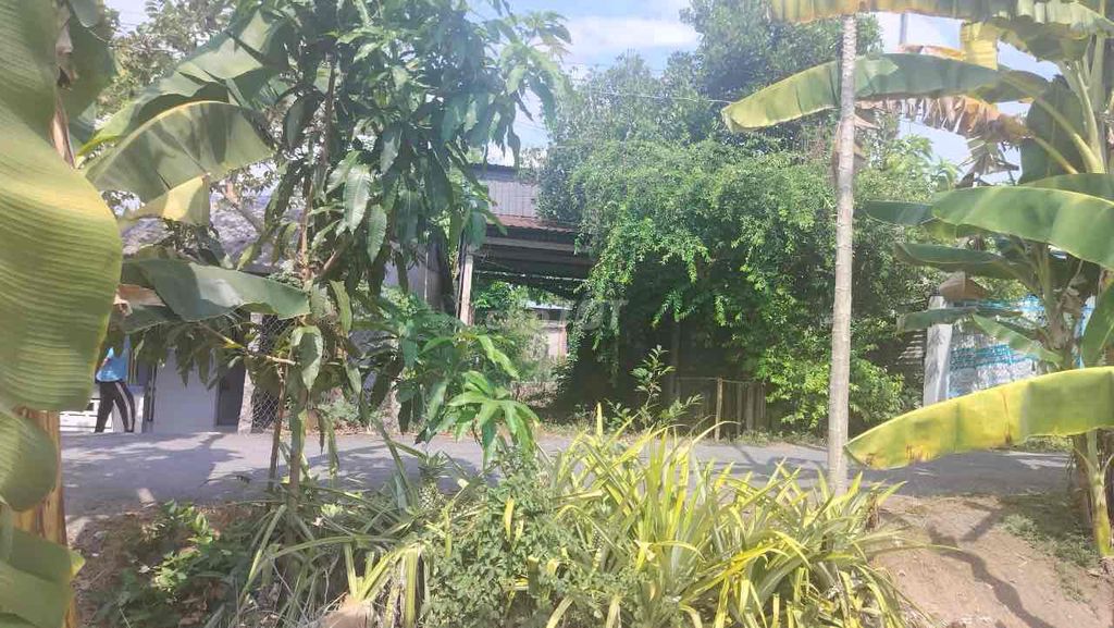 Thanh lý 8808,4m2 (770,3m2 đất ở) giá rẻ tại TT Mỹ Thọ (Ms Dương). Mua bán đất tại Huyện Cao Lãnh Đồng Tháp được đăng bởi Dương Chuyên tài sản Thanh lý Ngân hàng hình 5