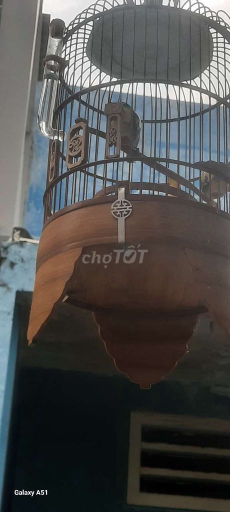 Thanh lý hai bộ chim khuyên nuôi được 5 tháng. Mua bán Chim tại Quận 10 Tp Hồ Chí Minh được đăng bởi kiệt hào  hình 5