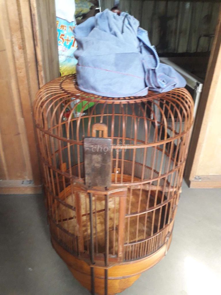 chin hết còn lồng kiến này tl. Mua bán Chim tại Quận 12 Tp Hồ Chí Minh được đăng bởi than xòe  hình 1