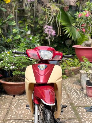 Xipo 99 F124 HQCN xe zin máy chưa chẻ. Mua bán Xe máy tại Thành phố Biên Hòa Đồng Nai được đăng bởi Vũ Hoàng