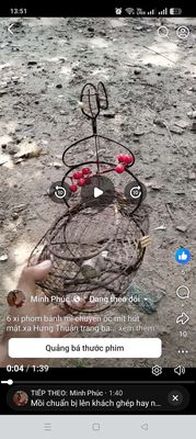 Lup ốc mít hút mật ở Tây ninh. Mua bán Chim tại Huyện Trảng Bàng Tây Ninh được đăng bởi Phúc