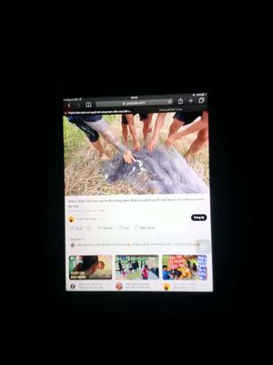 Ipad mua cho con coi phim gio hk su dung nen bán. Mua bán Máy tính bảng tại Huyện Hóc Môn Tp Hồ Chí Minh được đăng bởi nguyen phu quoc