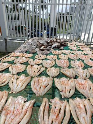 Các Loại Cá Khô 1 nắng. Mua bán Đồ ăn, thực phẩm và các loại khác tại Huyện Hóc Môn Tp Hồ Chí Minh được đăng bởi Bé Anh