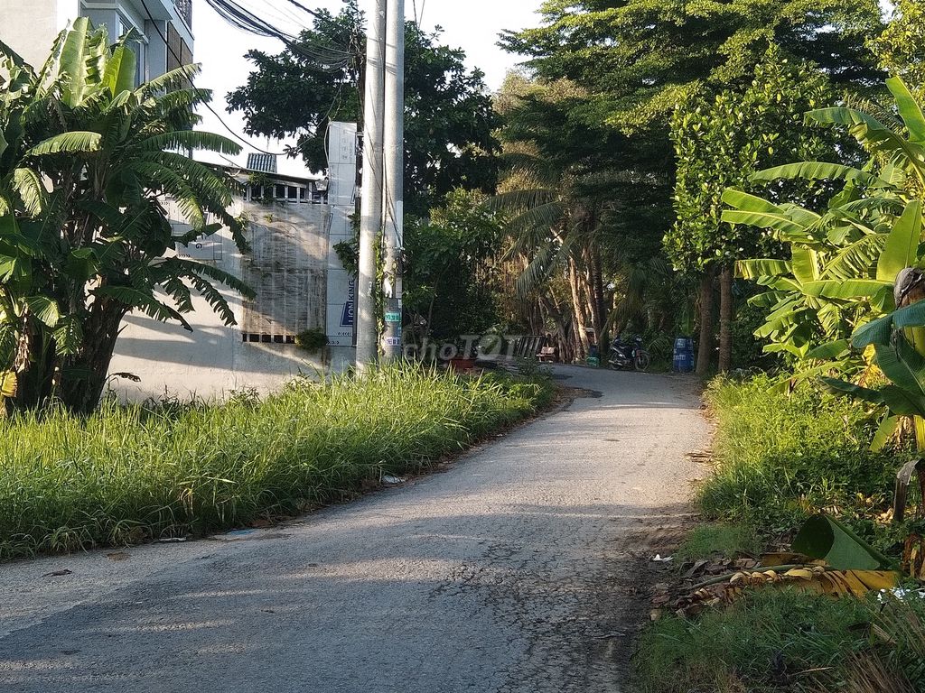 Nhà cấp 4, gác lửng, 2 phòng ngủ, đường 151. Cho thuê nhà ở tại Huyện Củ Chi Tp Hồ Chí Minh được đăng bởi Điệp hình 5