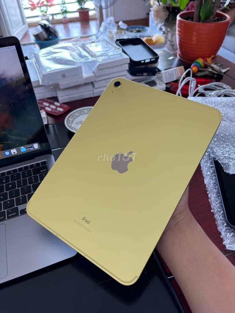 iPad Gen10 256G (5g wifi) BH 9/2025 pin 100%