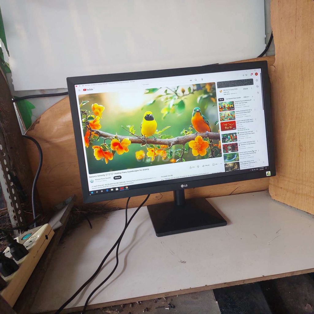 Màn hình máy tính LG 22 inch. Mua bán Phụ kiện (Màn hình, Chuột...) tại Quận 11 Tp Hồ Chí Minh được đăng bởi hb computer hình 1