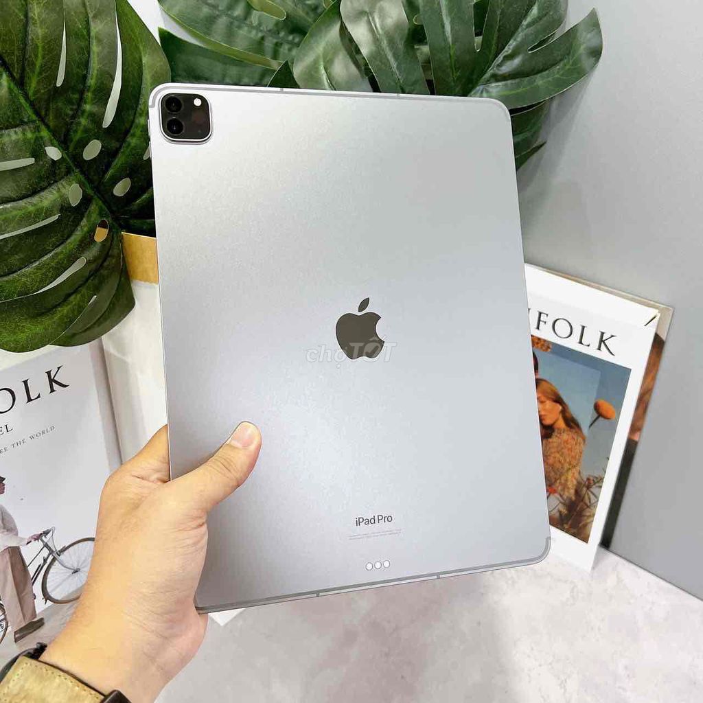 IPad Pro 12.9 M2 5G 256Gb Gray 99% Bh 12/2024