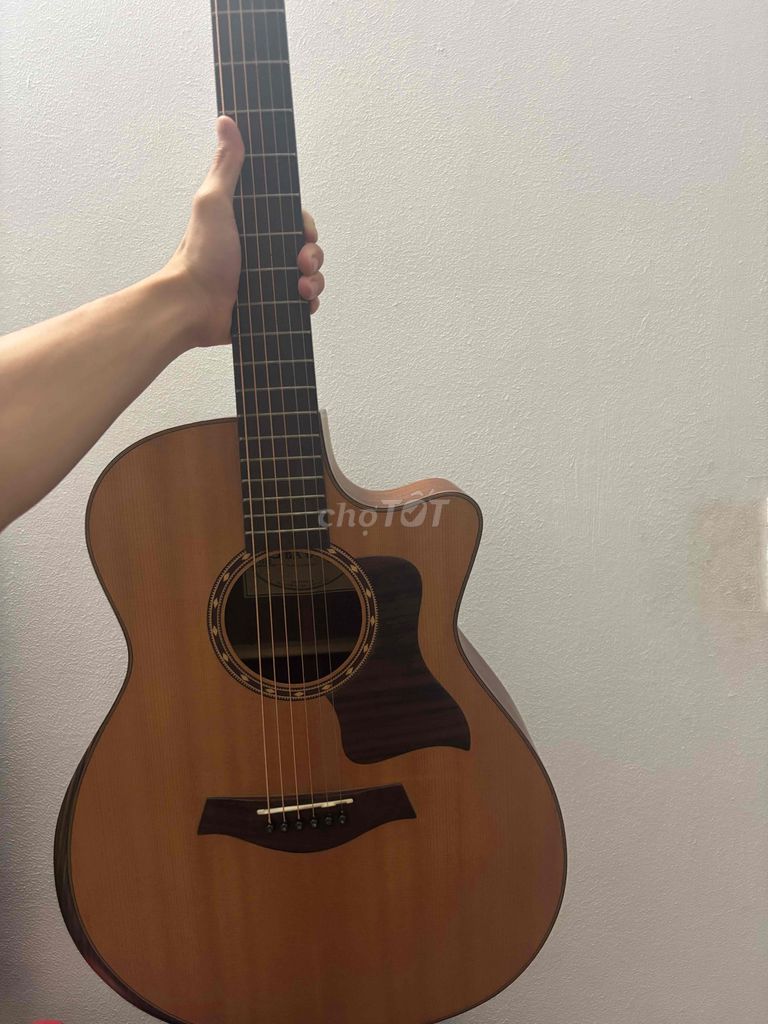đàn ba đờn T450