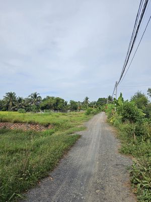 Bán đất thổ cư. Mua bán đất tại Huyện Đức Huệ Long An được đăng bởi Nguyễn Thị Hạnh