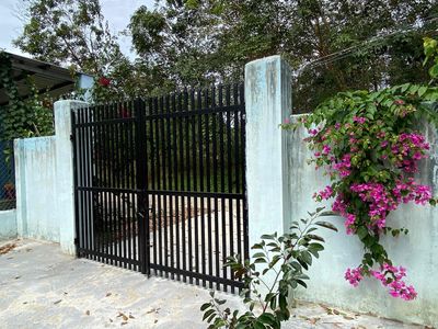 Bán nhà ở và nhà Yến 800 tổ ở Minh Tân Dầu Tiếng