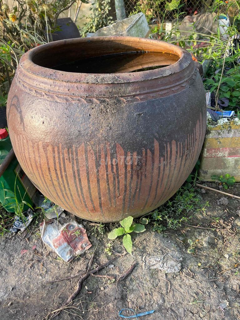 Chum sành 55x55x68 cm. Mua bán Cây cảnh, đồ trang trí tại Huyện Tân Hiệp Kiên Giang được đăng bởi Đỗ Anh Khoa hình 1