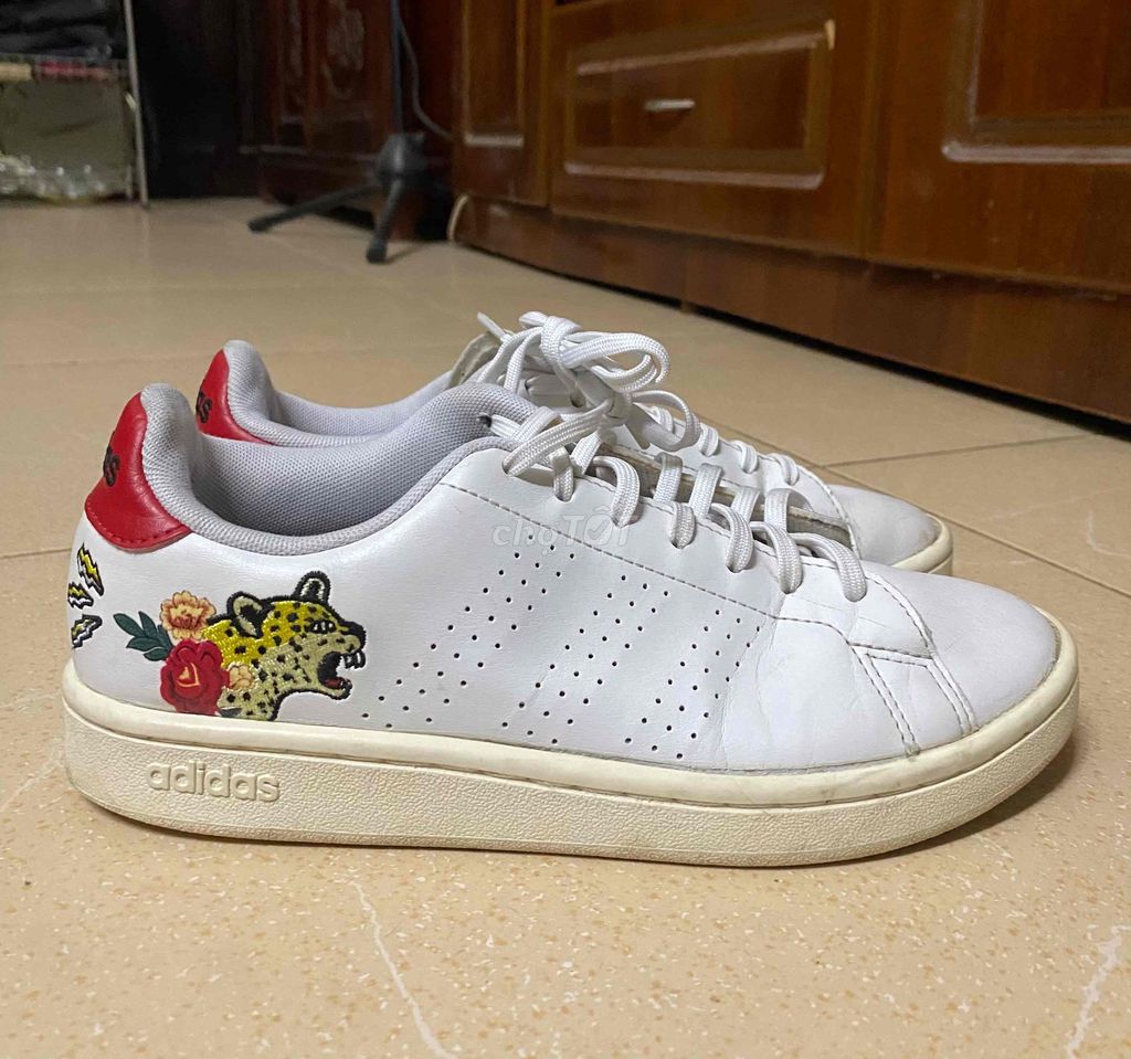 Giày Snecker - Hàng hiệu Adidas