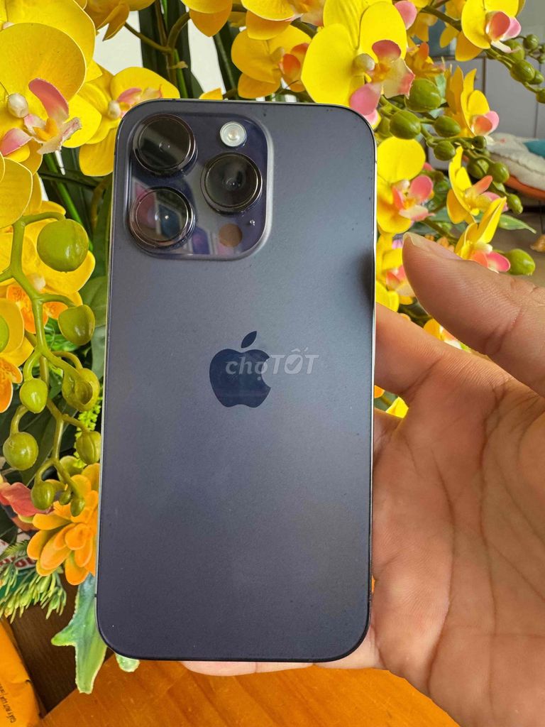 Apple iPhone 14 Pro 128GB Tím 99%. Mua bán Điện thoại tại Quận Ninh Kiều Cần Thơ được đăng bởi Khải mobile hình 1